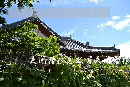 民间借条怎么写(民间借条)