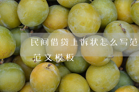 民间借贷上诉状怎么写范文(民间借贷上诉状范文模板)