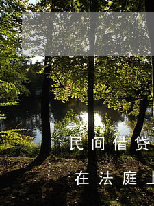民间借贷开庭被告要注意什么(民间借贷原告在法庭上会有什么问题)
