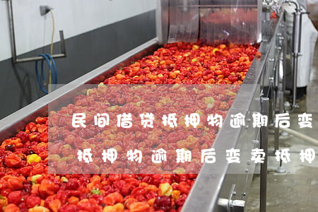 民间借贷抵押物逾期后变卖抵押-民间借贷抵押物逾期后变卖抵押怎么办