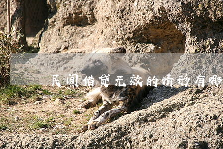 民间借贷无效的情形有哪些？