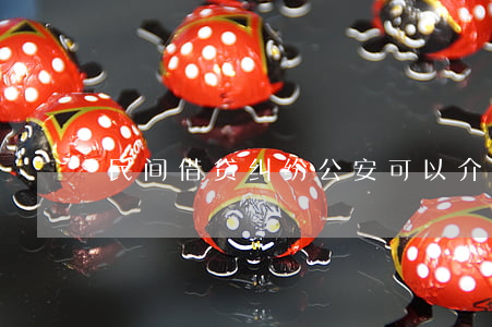 民间借贷纠纷公安可以介入吗