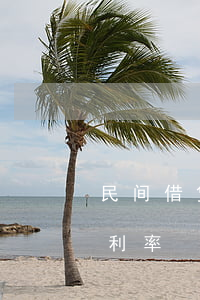 民间借贷逾期利率最高法院(最高院 民间借贷利率)