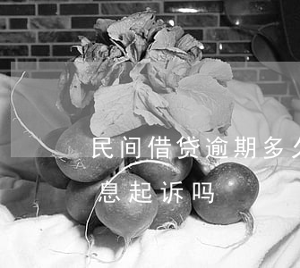 民间借贷逾期多久起诉合法（民间借贷逾期利息起诉吗）