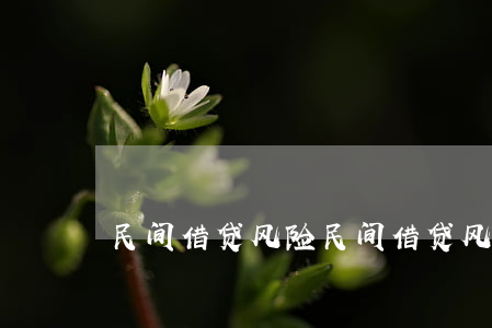 民间借贷风险(民间借贷风险大吗)