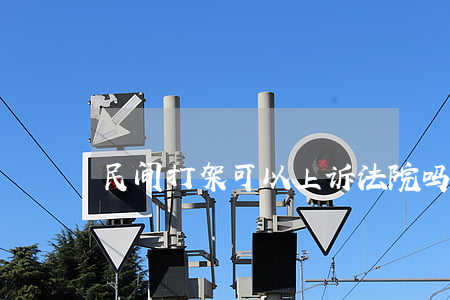 民间打架可以上诉法院吗