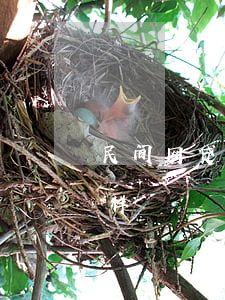 民间网贷逾期会怎么样(各种网贷逾期会怎么样)