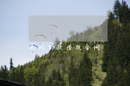 民间贷款借款合同