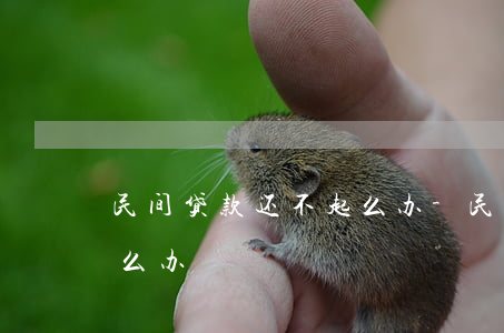 民间贷款还不起么办-民间贷款要不回来怎么办