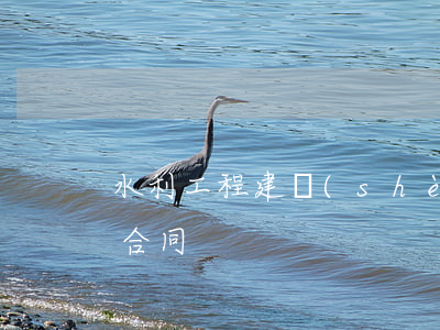 水利工程建設(shè)監(jiān)理合同