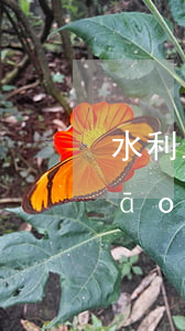 水利工程施工內(nèi)容與投標(biāo)的單價(jià)分析不一樣能否重新綜合單價(jià)