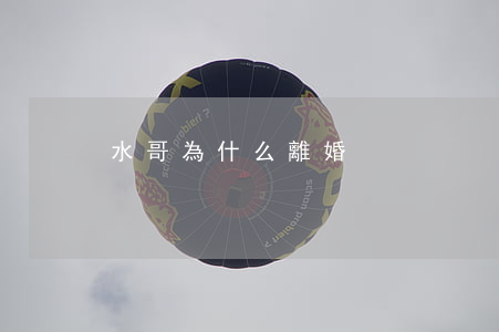 水哥為什么離婚