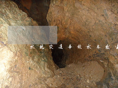 水坑交通事故(水车发生交通事故)