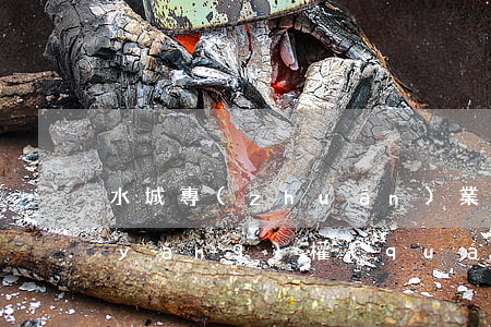 水城專(zhuān)業(yè)辦撫養(yǎng)權(quán)糾紛律師