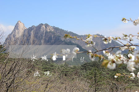 水城專業(yè)婚姻糾紛律師(水城縣人民法院)