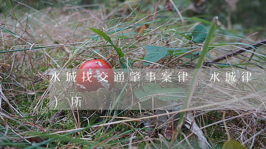 水城找交通肇事案律師(水城律師事務(wù)所電話)