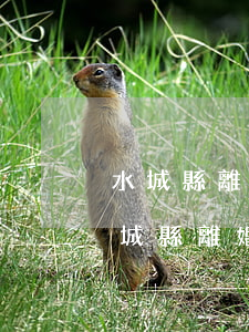 水城縣離婚糾紛律師收費(fèi)多少(水城縣離婚糾紛律師收費(fèi)多少)