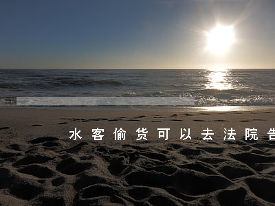水客偷货可以去法院告她吗