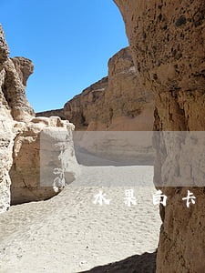 水果白卡逾期