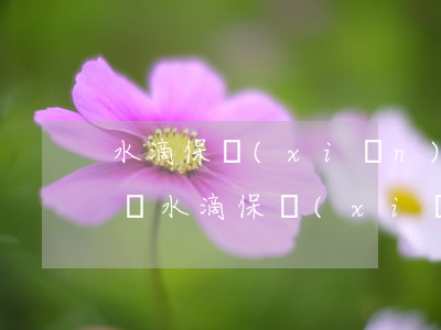 水滴保險(xiǎn)商城是真的假的可靠嗎(水滴保險(xiǎn)商城是真的假的可靠嗎 新聞)