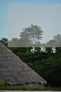 水瓶座這個月會離婚嗎