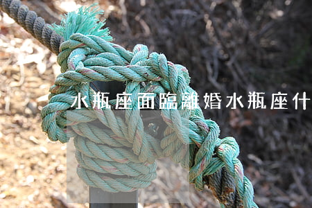 水瓶座面臨離婚(水瓶座什么情況會離婚)