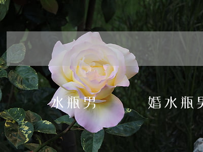 水瓶男總說離婚(水瓶男離婚率高嗎)