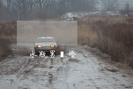水瓶男離婚