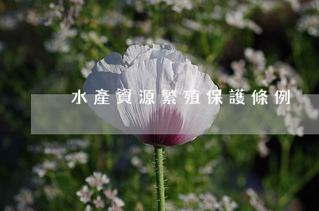 水產資源繁殖保護條例