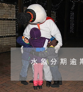 水象分期逾期上征信嗎-水象分期投訴