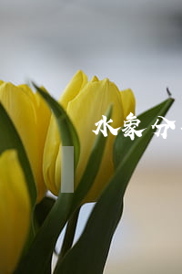 水象分期逾期不還款(水象分期最新消息)