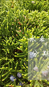 水象分期逾期多久會(huì)被起訴(水象分期下架了嗎)