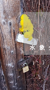 水象分期逾期對(duì)其他平臺(tái)有影響嗎-水象分期逾期對(duì)其他平臺(tái)有影響嗎