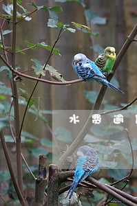 水费逾期的后果是什么 水费缴费逾期怎么办