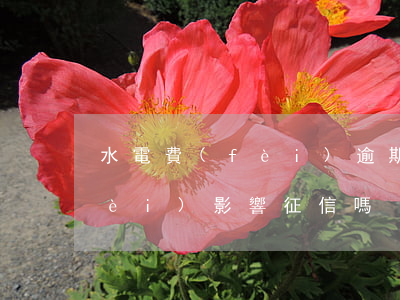 水電費(fèi)逾期征信 拖欠水電費(fèi)影響征信嗎