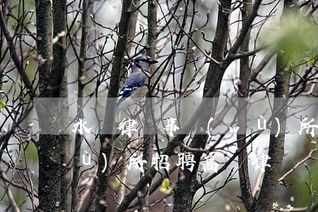 水頭律師事務(wù)所(水頭律師事務(wù)所招聘高級律師)
