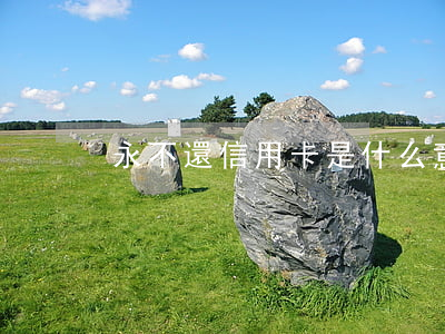 永不還信用卡是什么意思(信用卡不用還)