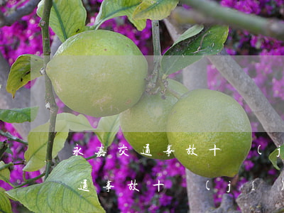 永嘉交通事故十級(jí)傷殘能賠多少(交通事故十級(jí)傷殘鑒定大概可以賠多少錢(qián))