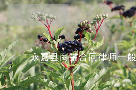 永嘉县商铺合同律师一般怎么收费