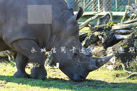 永城信用卡逾期一天(逾期一天還信用卡影響征信嗎)