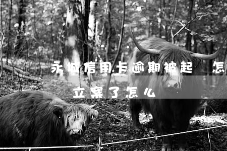 永城信用卡逾期被起訴怎么辦(欠信用卡被起訴立案了怎么辦)