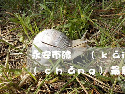 永安市破獲開(kāi)設(shè)賭場(chǎng)(最新網(wǎng)絡(luò)開(kāi)設(shè)賭場(chǎng)被判刑案)