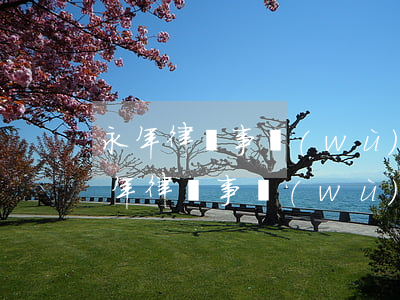 永年律師事務(wù)所哪個(gè)好(永年律師事務(wù)所哪個(gè)好)