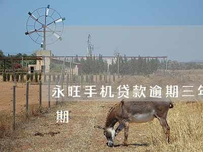 永旺手机贷款逾期三年(3年一直没还永旺分期)