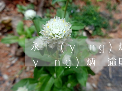 永煒應(yīng)炳楊逾期貸款(永煒應(yīng)炳楊逾期貸款)