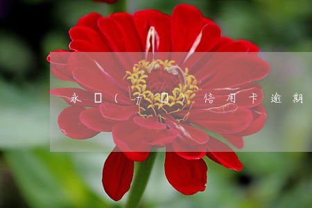 永發(fā)信用卡逾期了會怎么樣