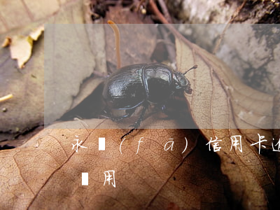 永發(fā)信用卡逾期扣錢么(信用卡 逾期 費用)