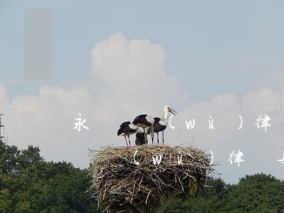 永興債務(wù)律師事務(wù)所(永興債務(wù)律師事務(wù)所地址)