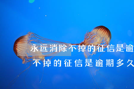 永远消除不掉的征信是逾期多久-永远消除不掉的征信是逾期多久了