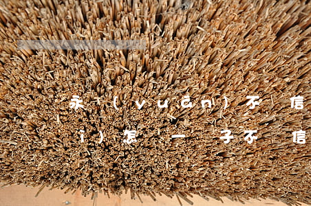 永遠(yuǎn)不還信用卡的錢會(huì)怎樣(一輩子不還信用卡會(huì)怎樣)